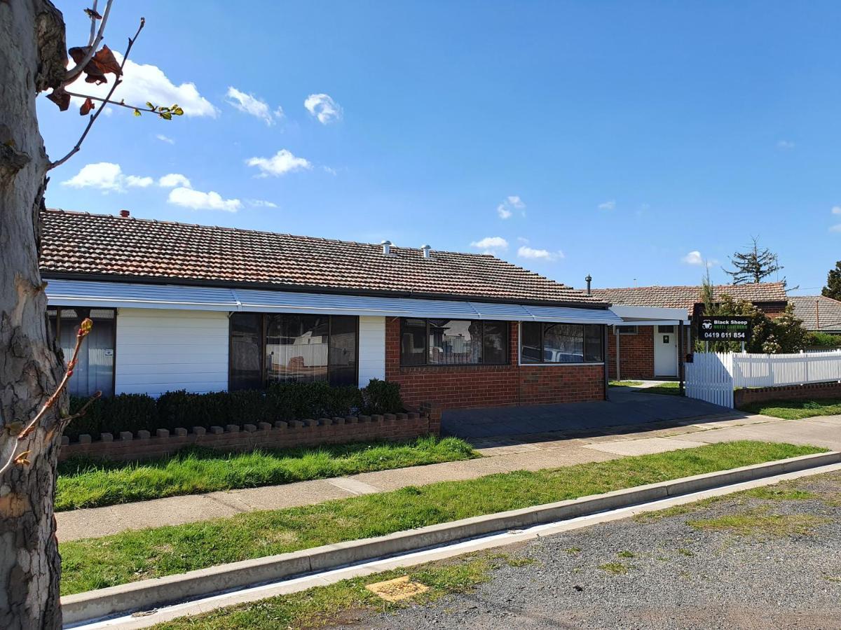 Black Sheep Motel Goulburn Dış mekan fotoğraf